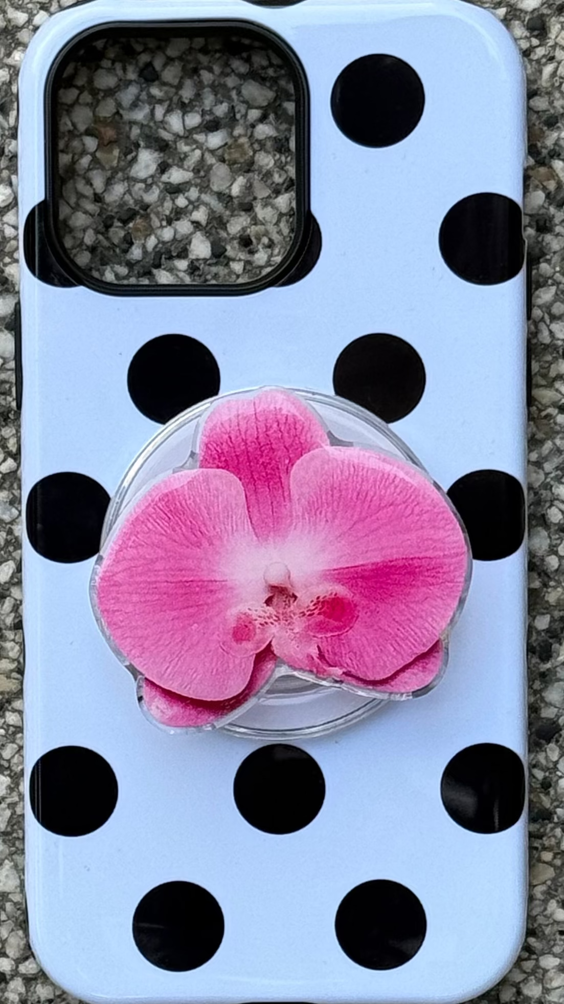 Orchid Obsession Pop Grippy