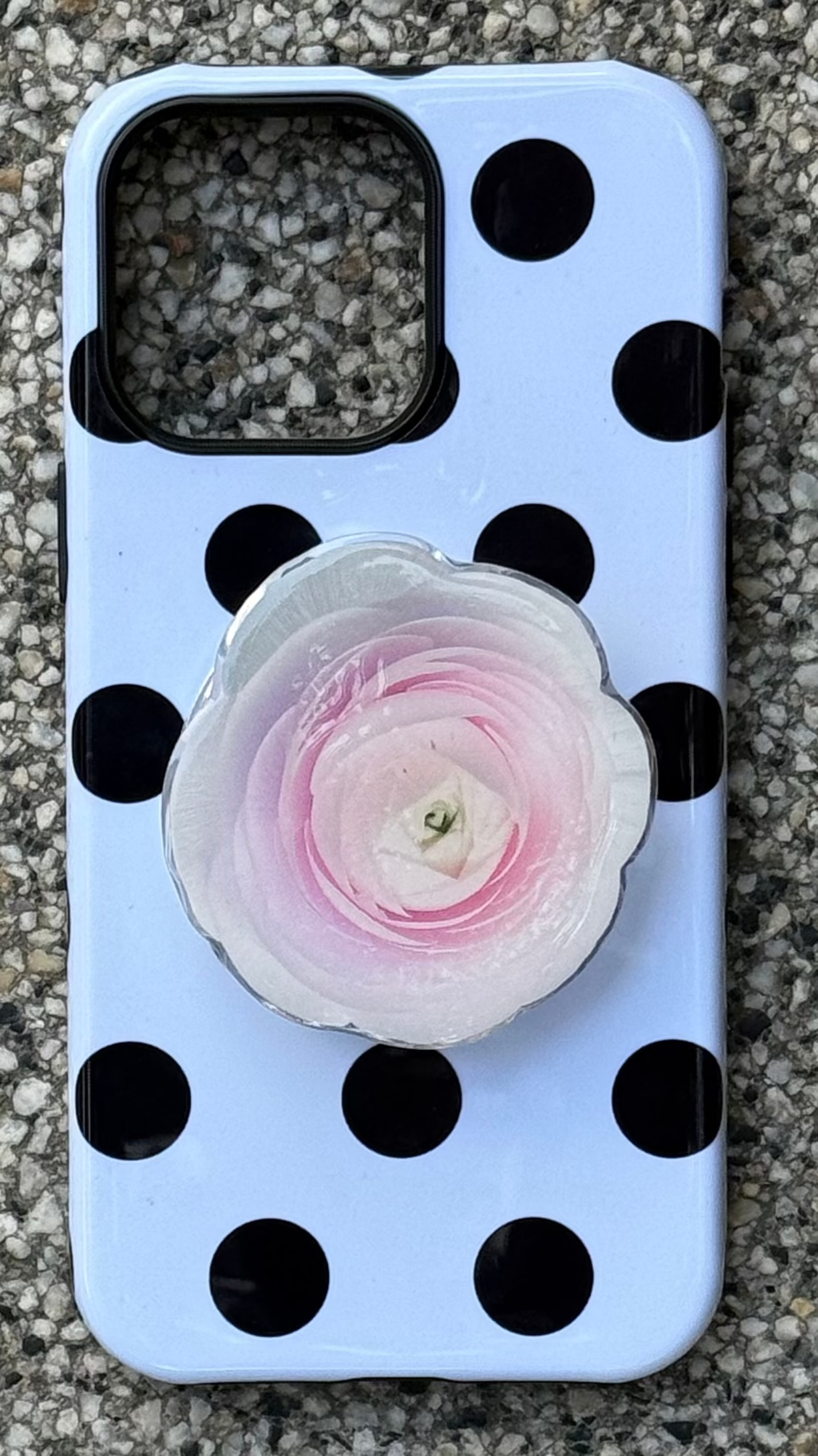 Blushed Ranunculus Flower Pop Grippy