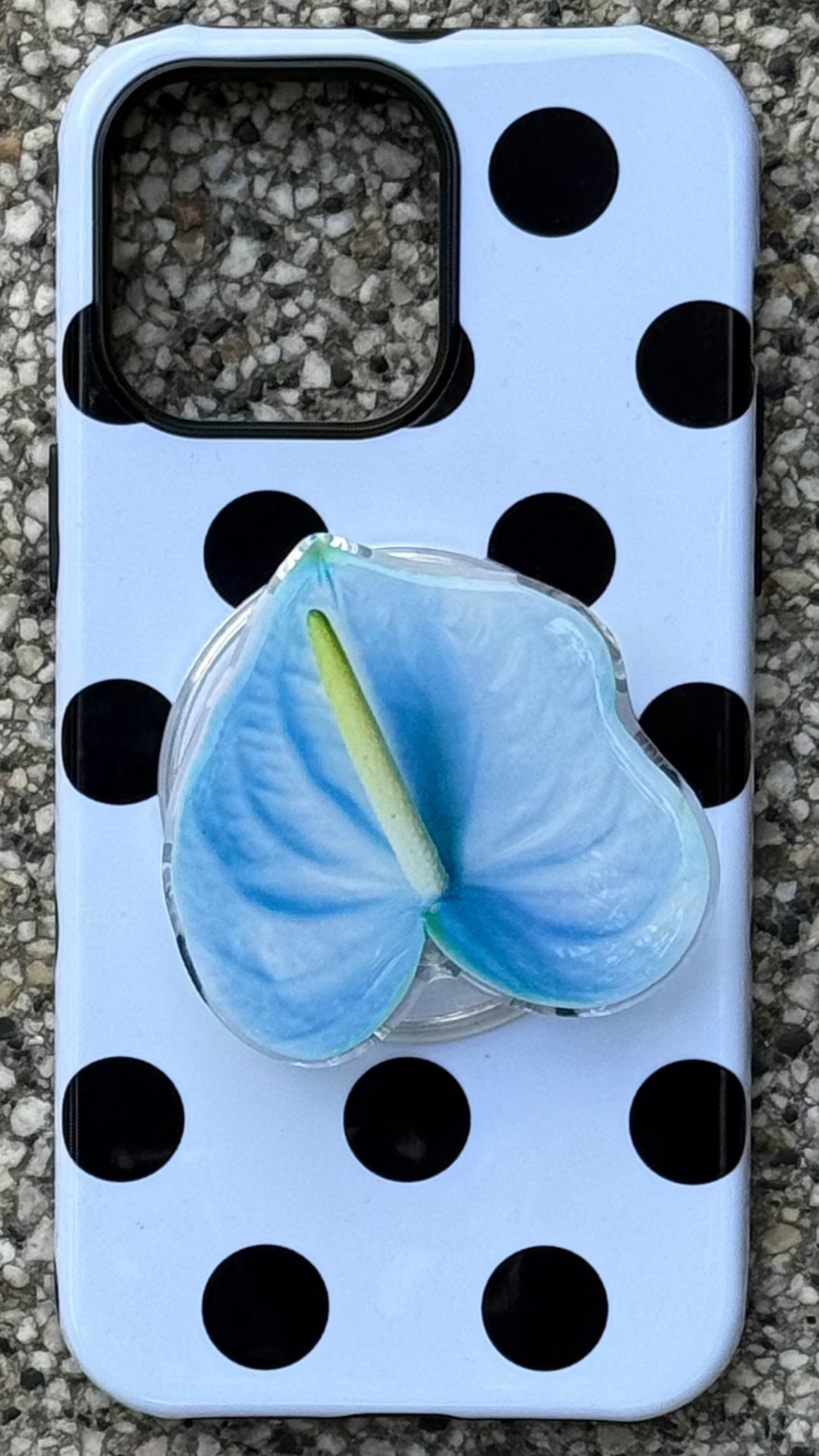 Sweet Blue Anthurium Flower Pop Grippy